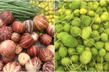 summer fruits, local indian fruits