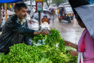 monsoon