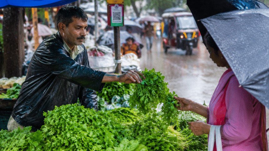 monsoon