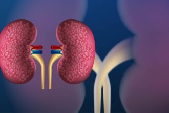 Almost half of the 844 million chronic kidney disease patients worldwide remain undiagnosed: The Lancet